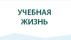 Учебная жизнь
