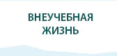 Внеучебная жизнь